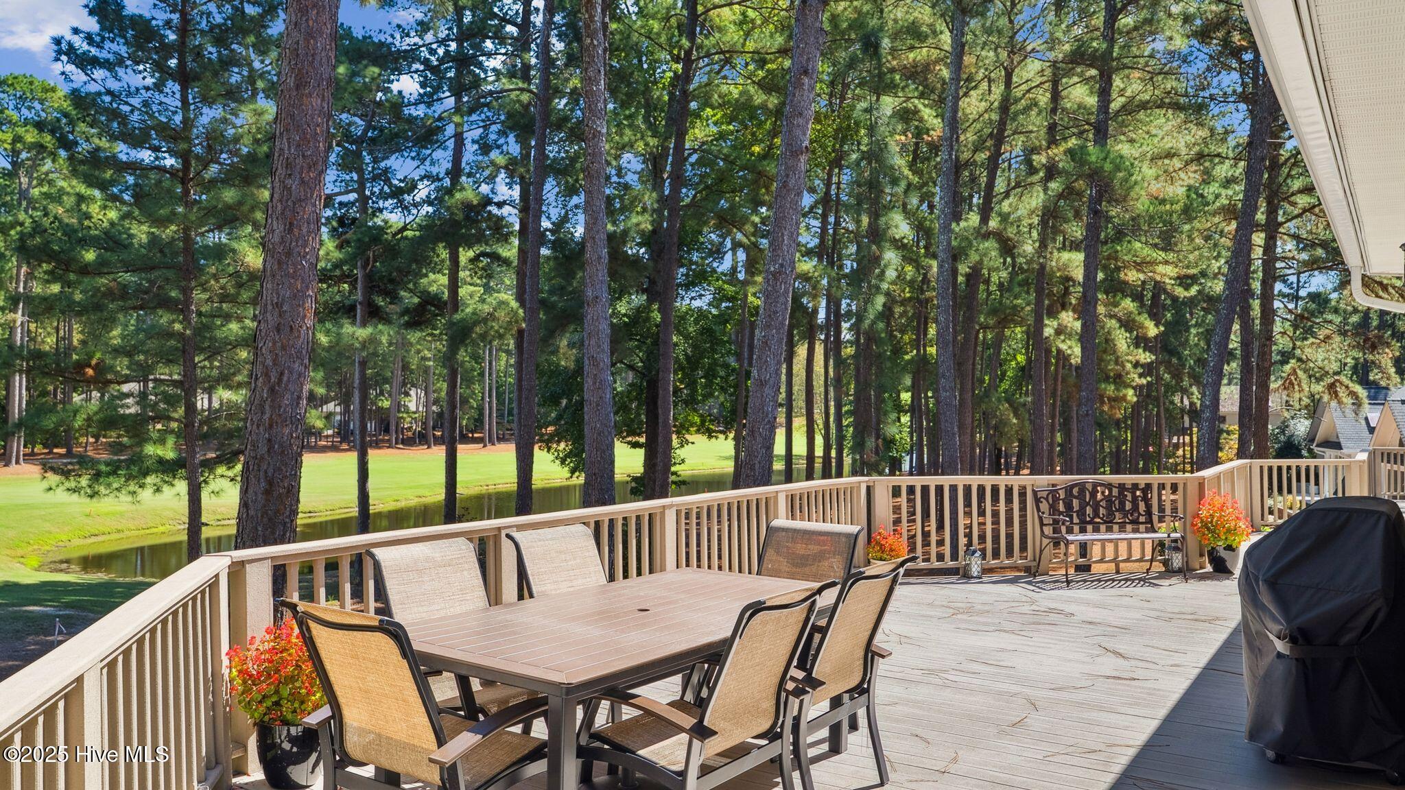 11 Mcmichael Drive