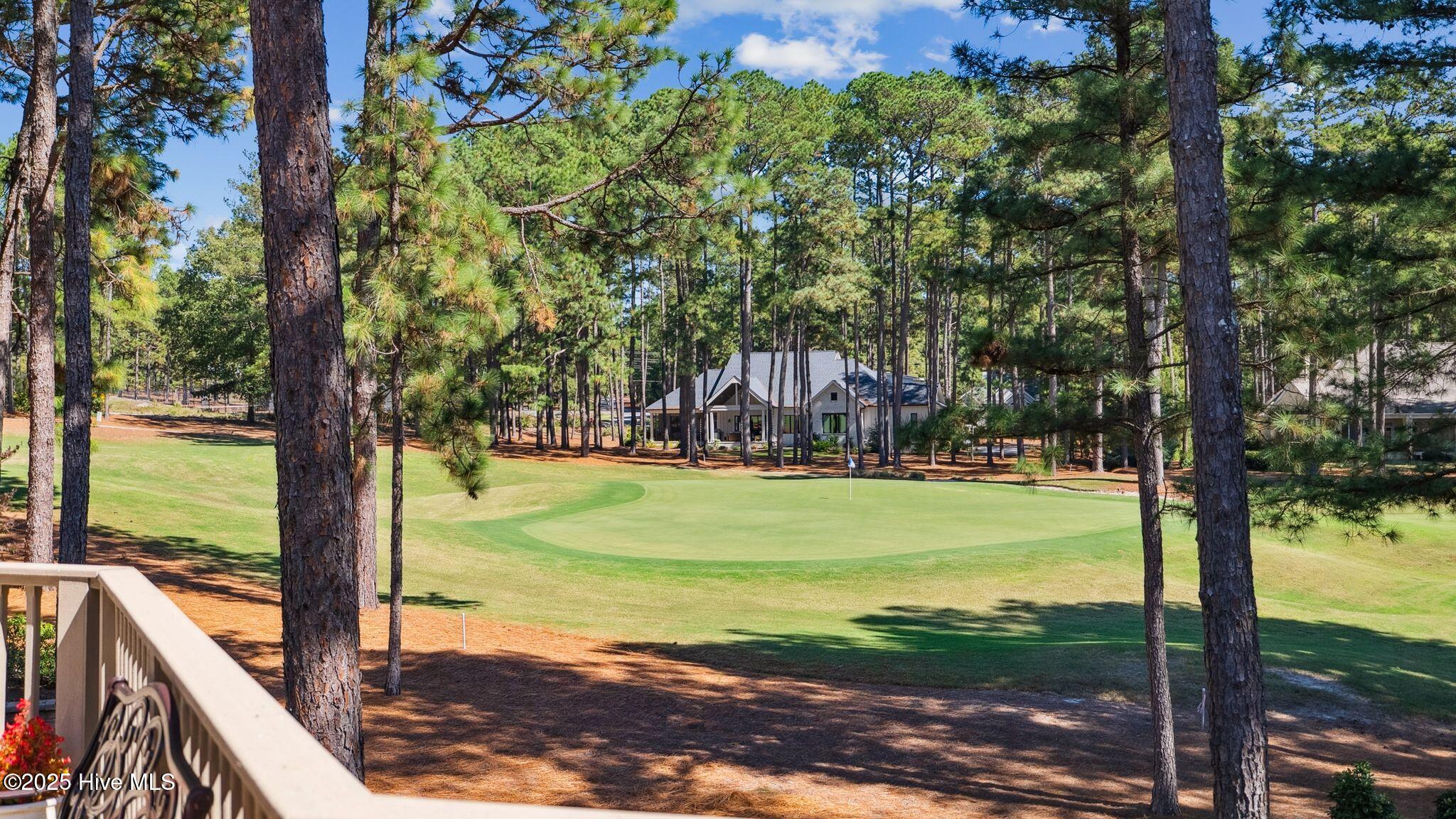 11 Mcmichael Drive