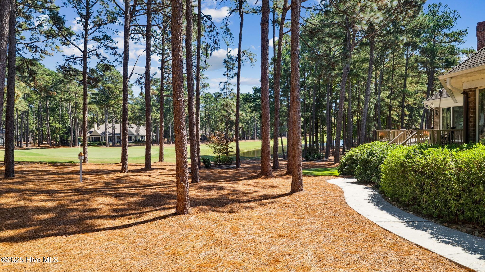 11 Mcmichael Drive