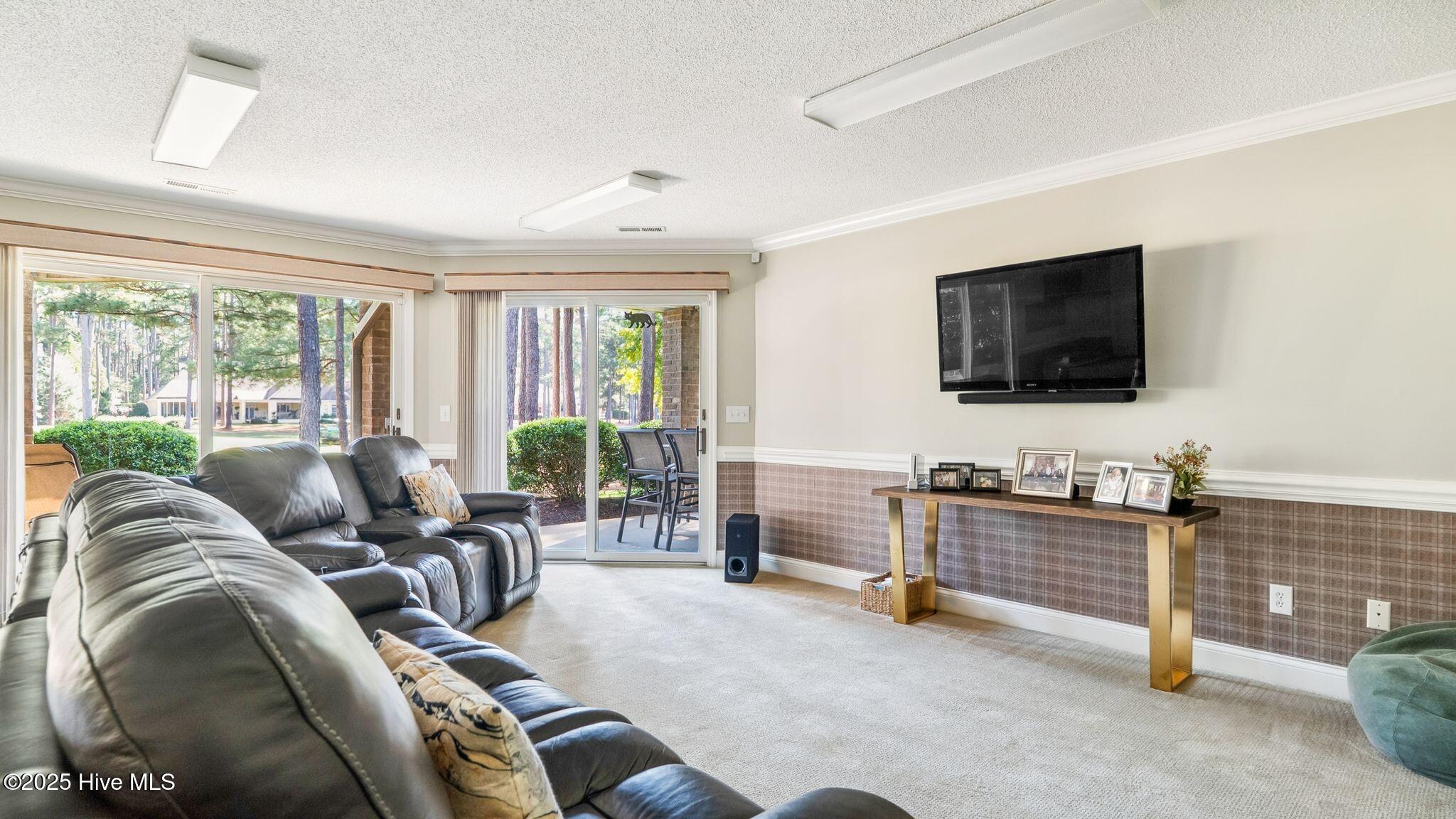 11 Mcmichael Drive