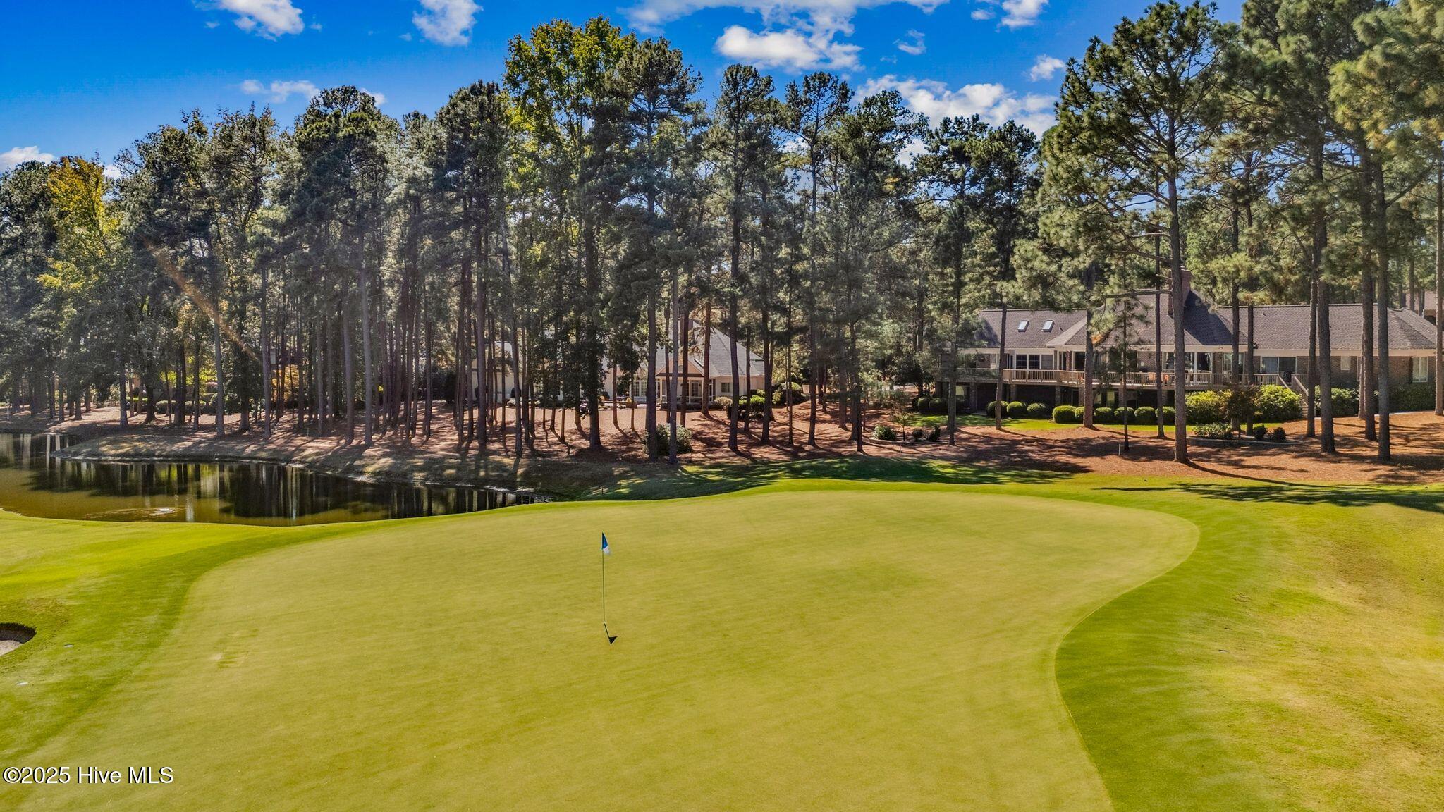 11 Mcmichael Drive