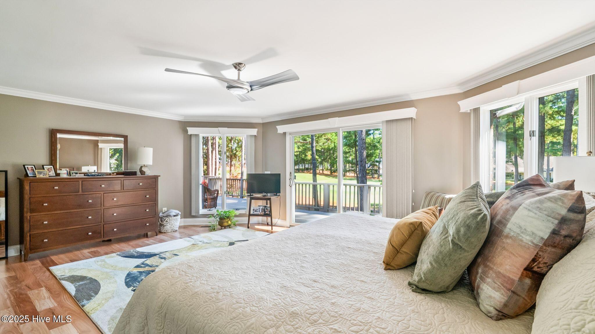 11 Mcmichael Drive