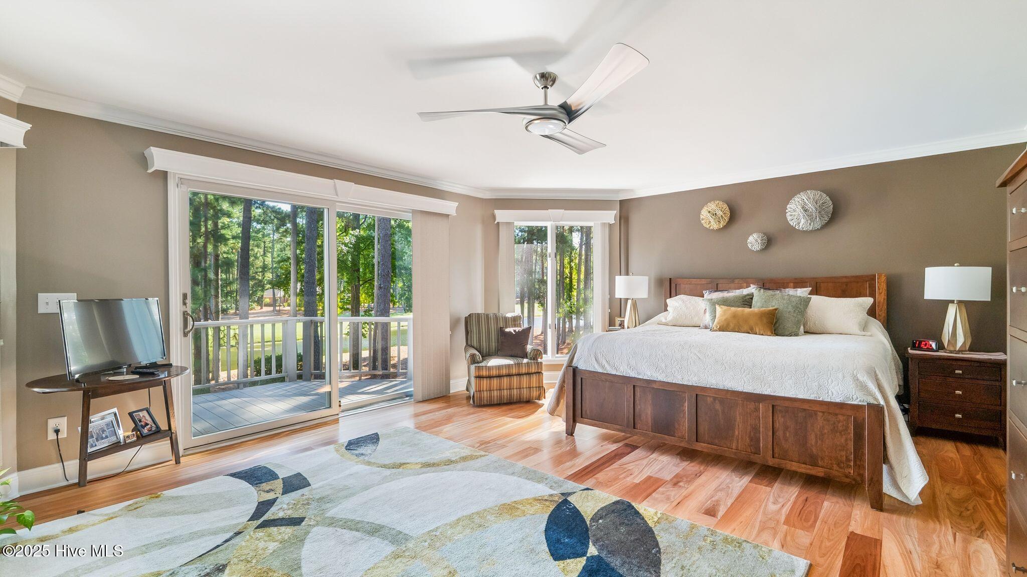 11 Mcmichael Drive