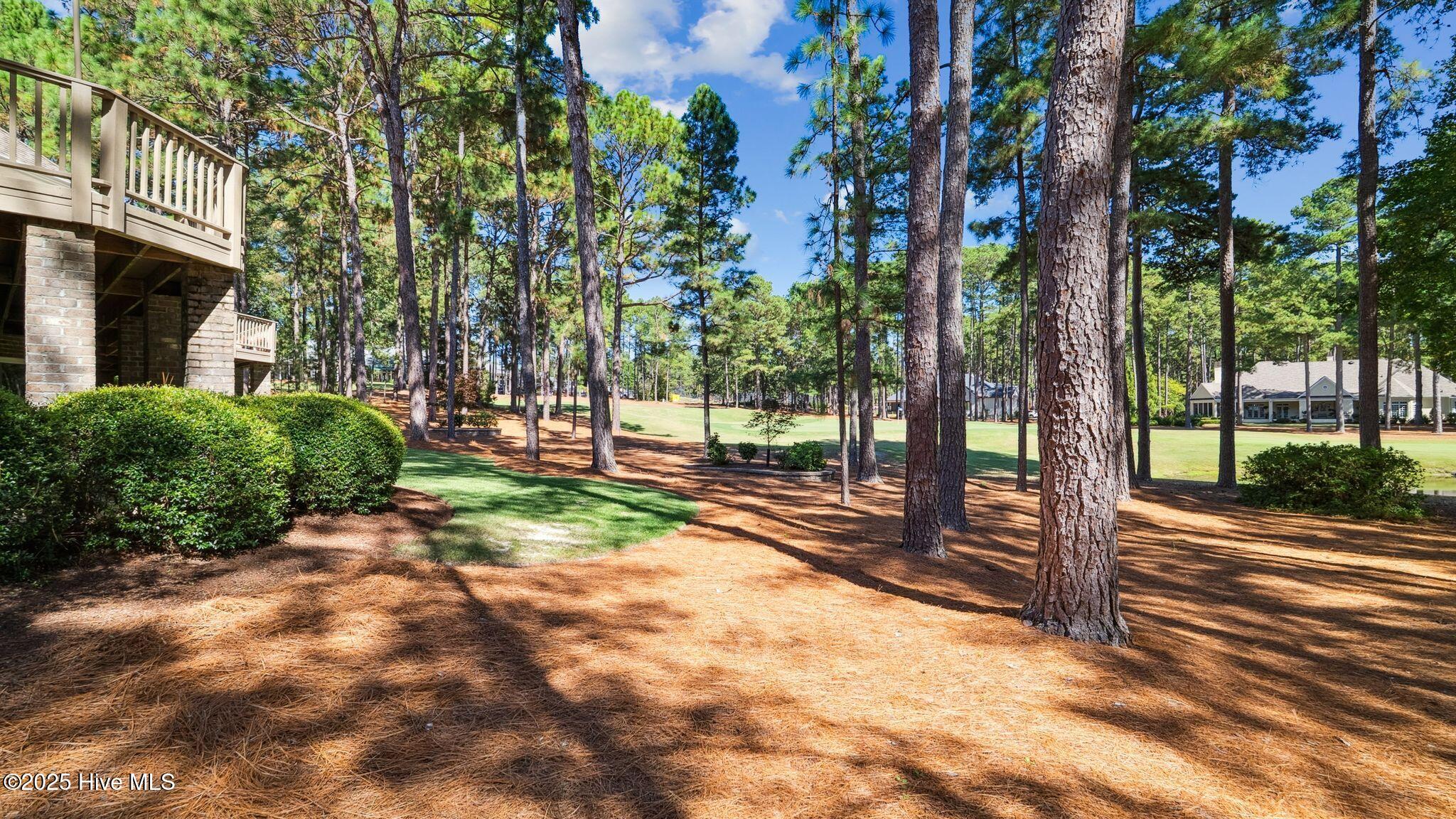 11 Mcmichael Drive