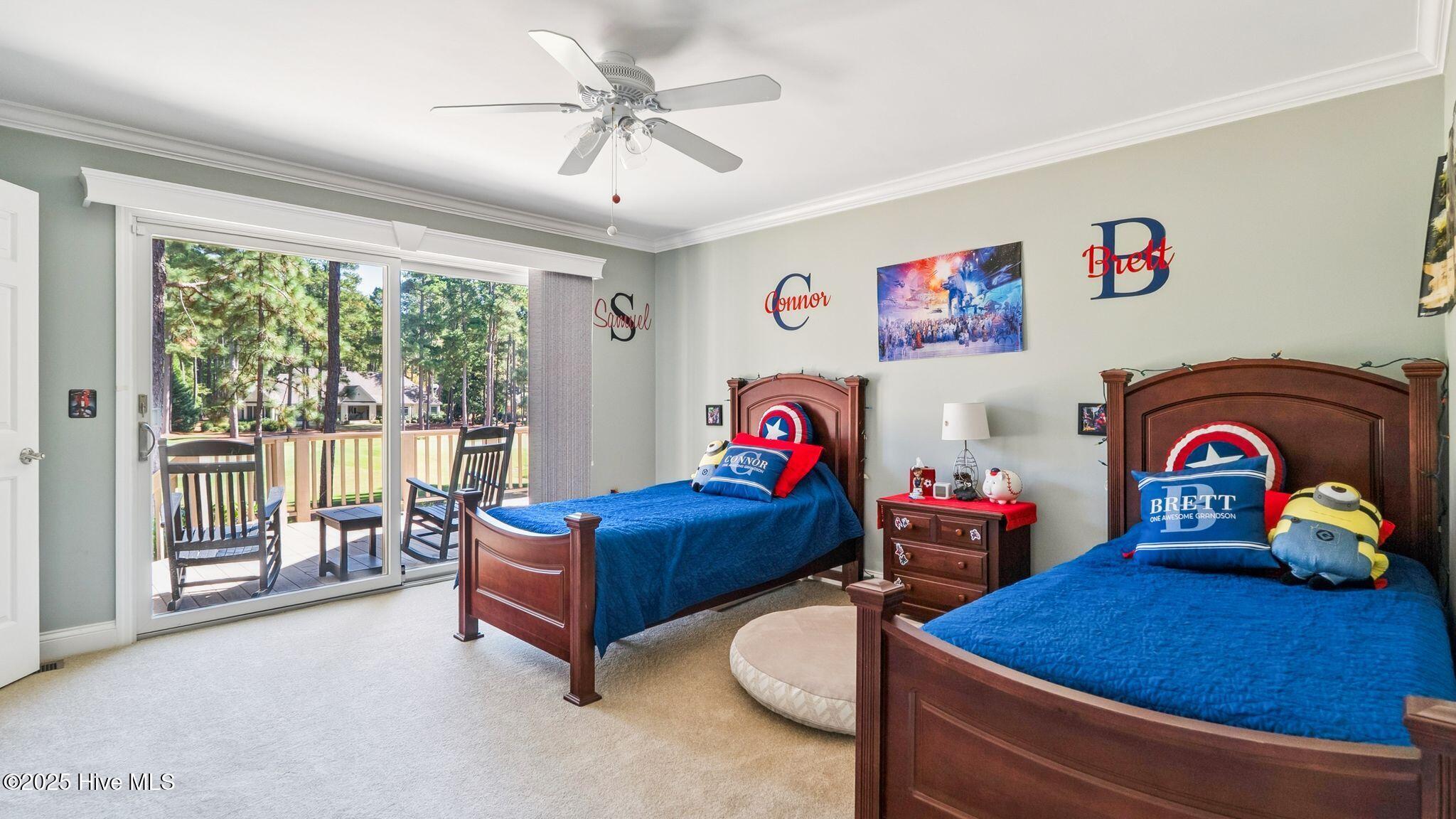 11 Mcmichael Drive