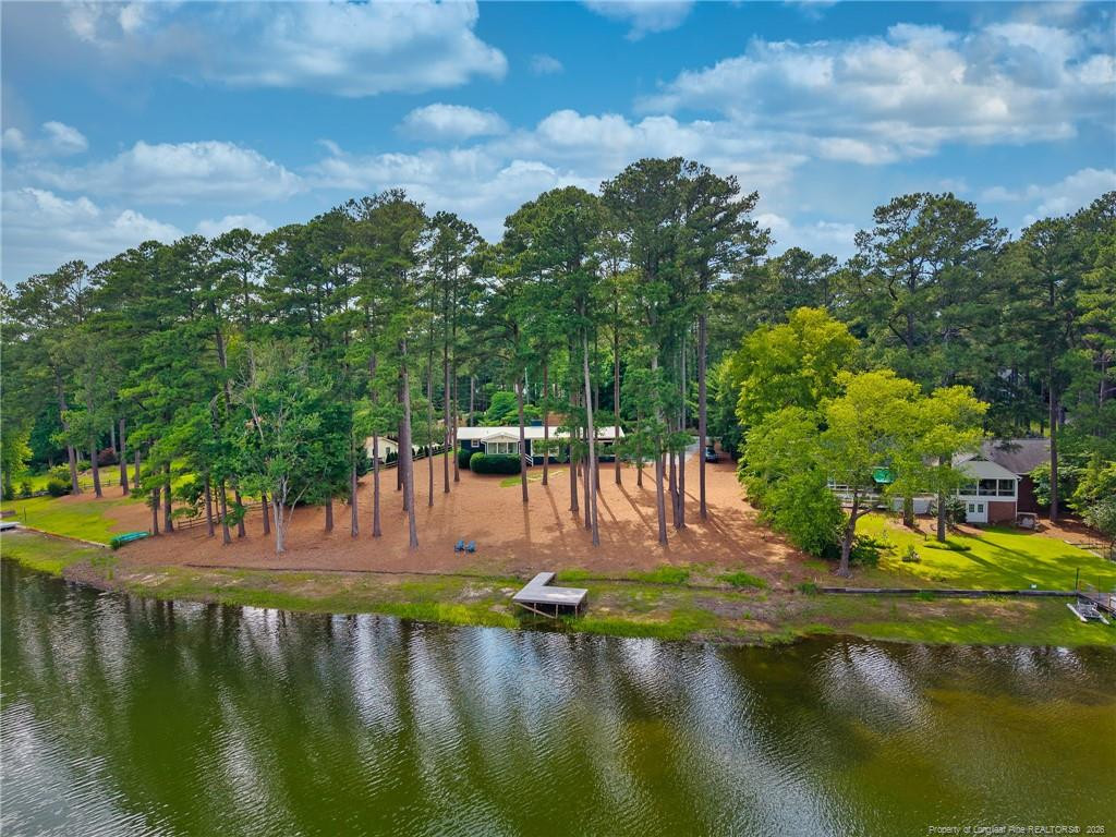 Aerial view of a pine-shaded waterfront home with a small dock and lake shoreline.