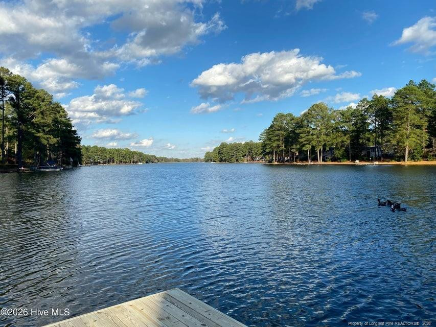 Lake bordered by trees, with a wooden dock in the foreground and ducks on the water.