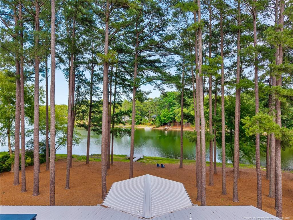 Lake view framed by tall pines, with a dock and metal roof in foreground.