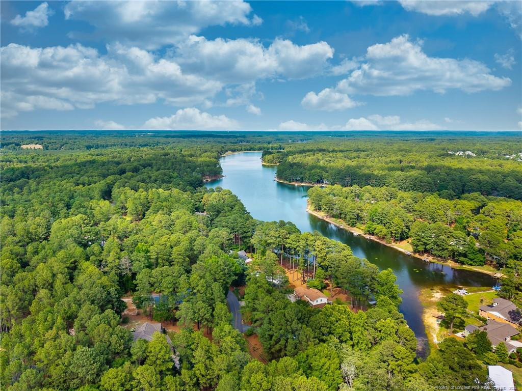 Aerial view of a wooded neighborhood beside a winding lake under a partly cloudy sky.