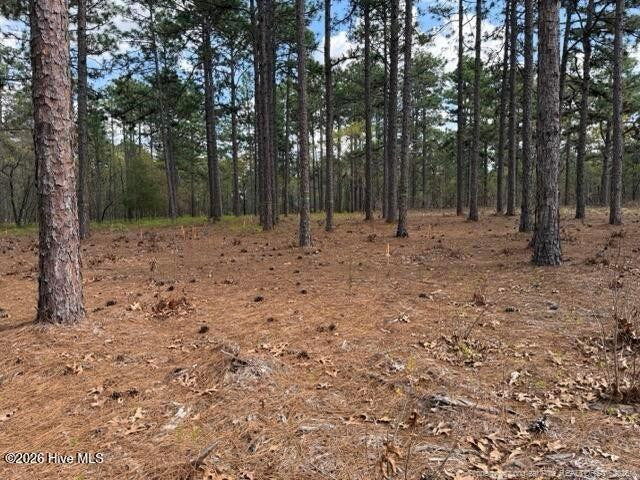 Wooded lot with tall pine trees and open, pine-needle-covered ground.