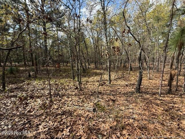 Wooded lot with mature trees and a carpet of fallen leaves.