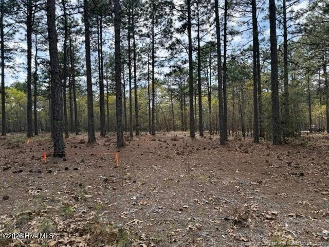 Wooded property lot with tall pine trees and orange stakes marking points on the ground.