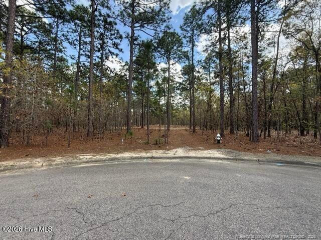 Wooded property entrance with tall pines, a dirt drive, and paved road frontage.