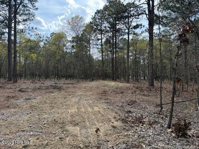 Vacant wooded lot with a broad clearing surrounded by tall trees.