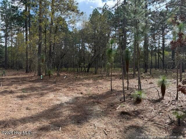 Wooded lot with tall pines surrounding a mostly cleared, needle-covered area.