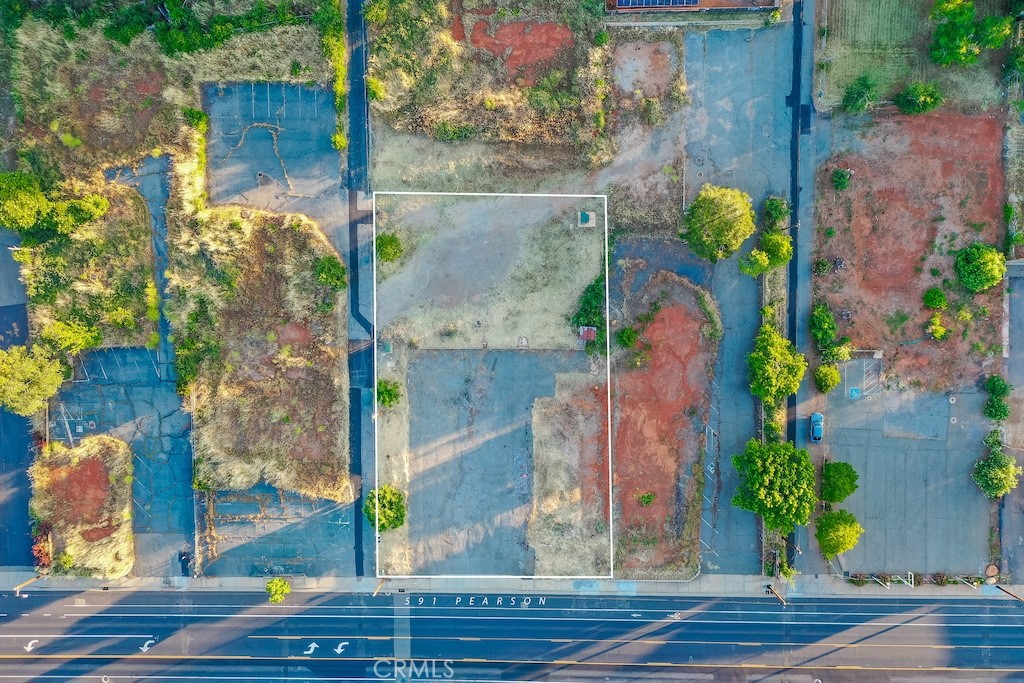 591 Pearson Road