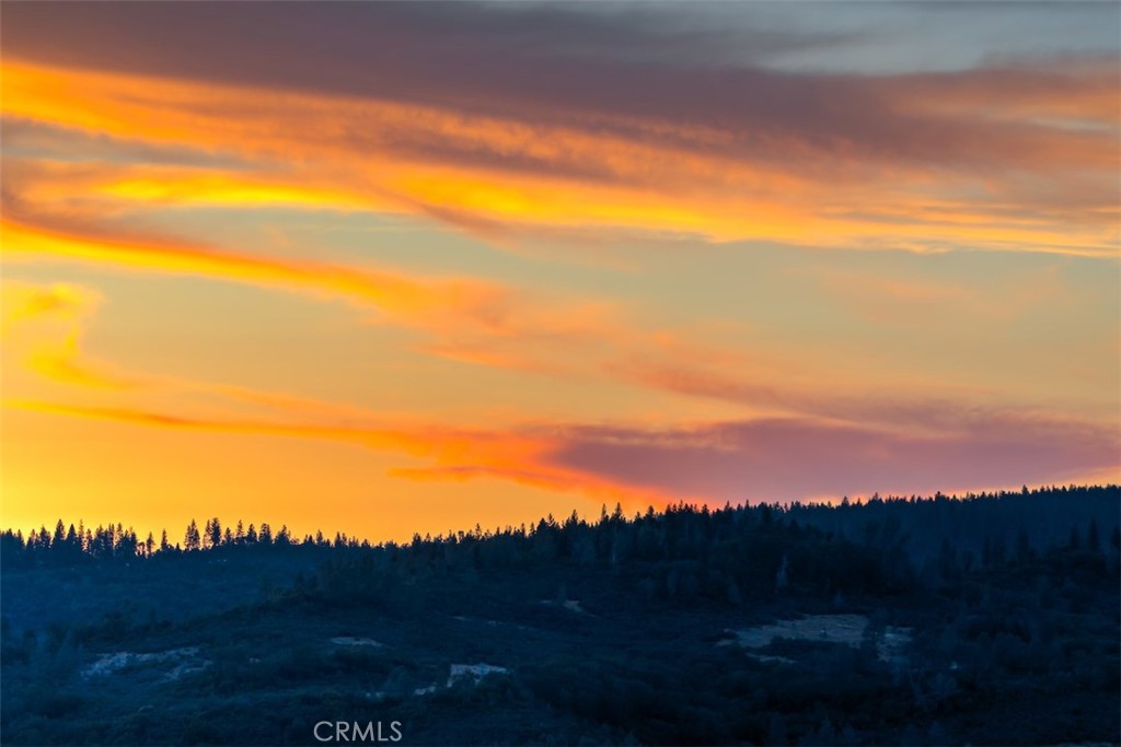 15103 Woodland Park Drive