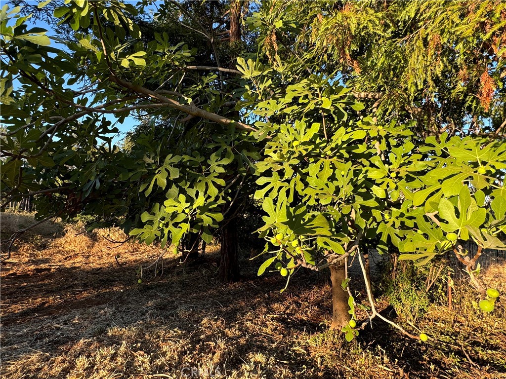 6361 Tabernacle Lane