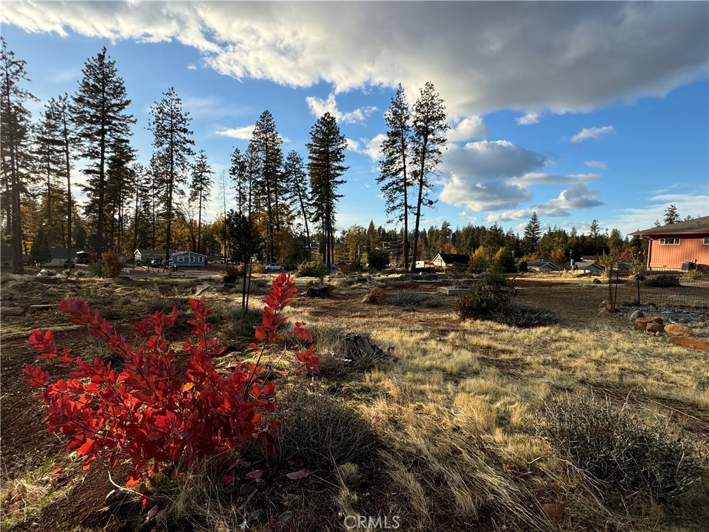 6322 Pentz Road