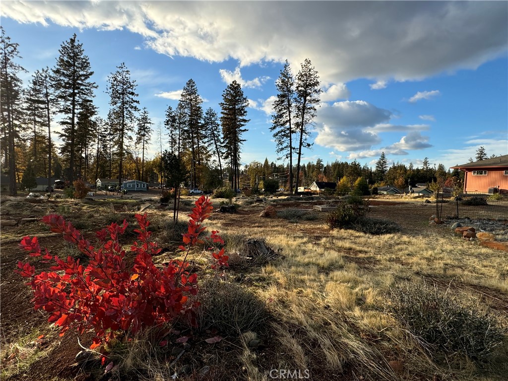 6322 Pentz Road