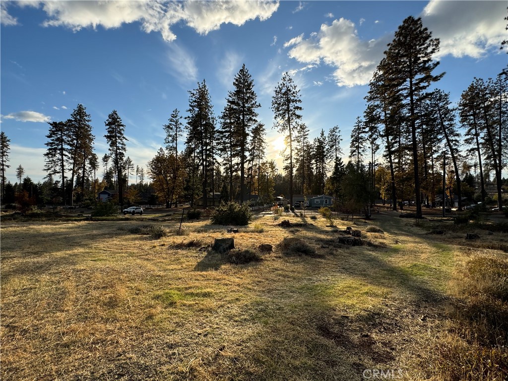 6322 Pentz Road