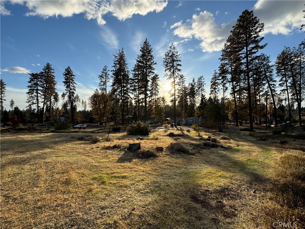 6322 Pentz Road