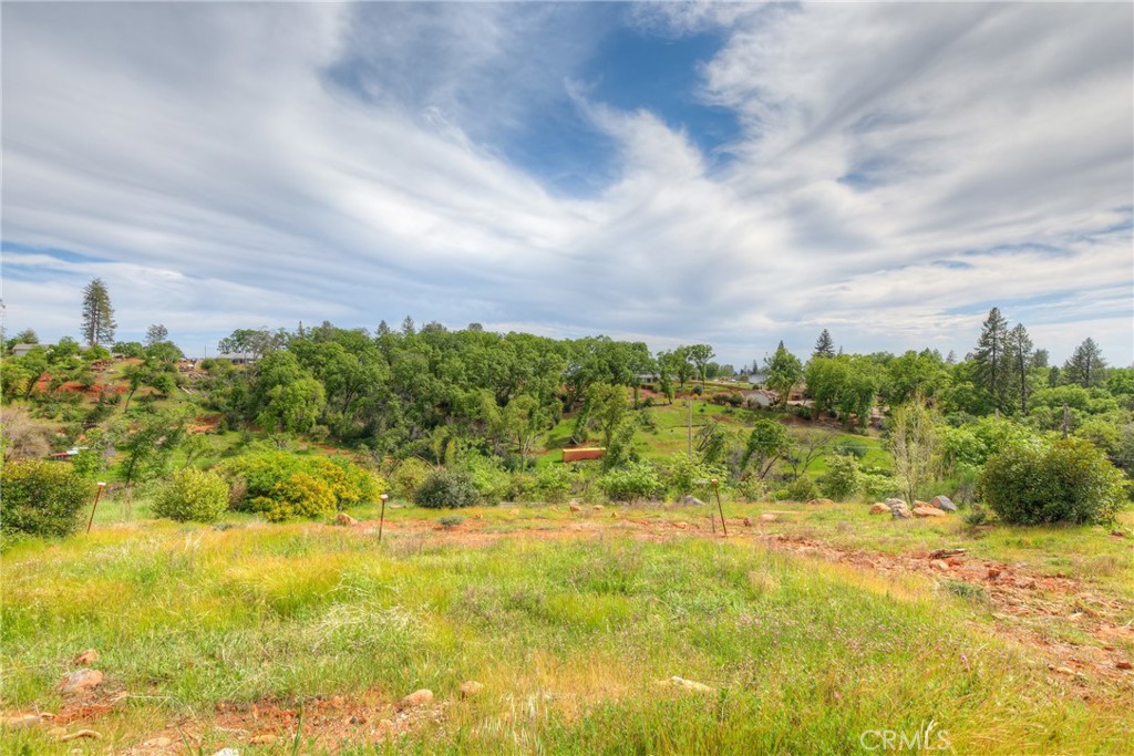 625 Circlewood Drive