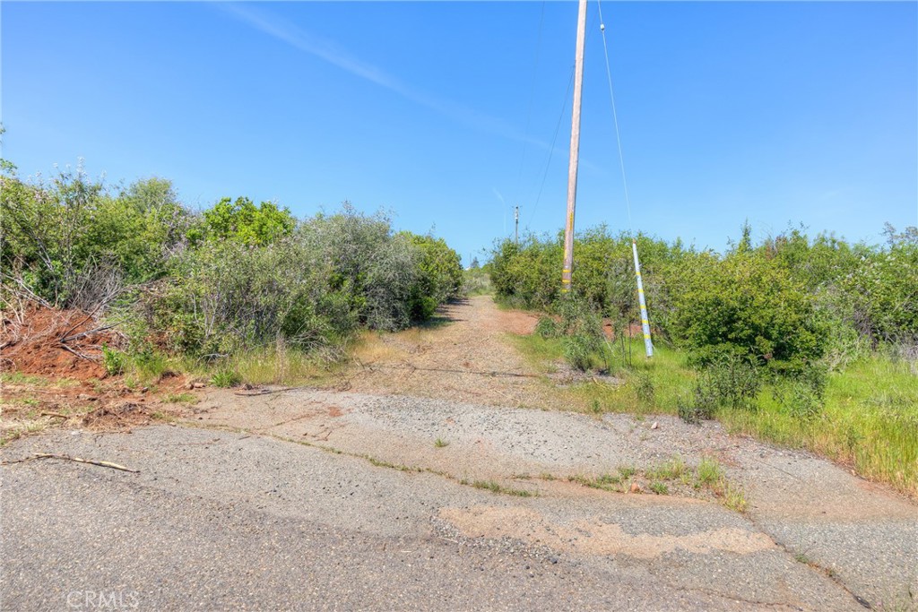 3177 Indian Springs Road