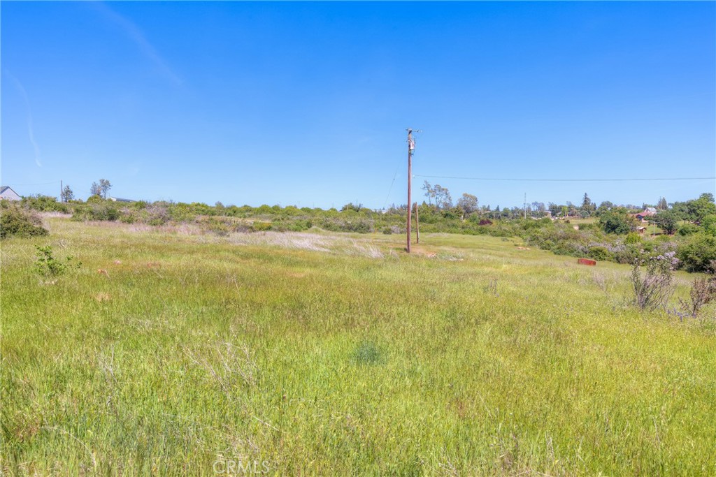 3177 Indian Springs Road