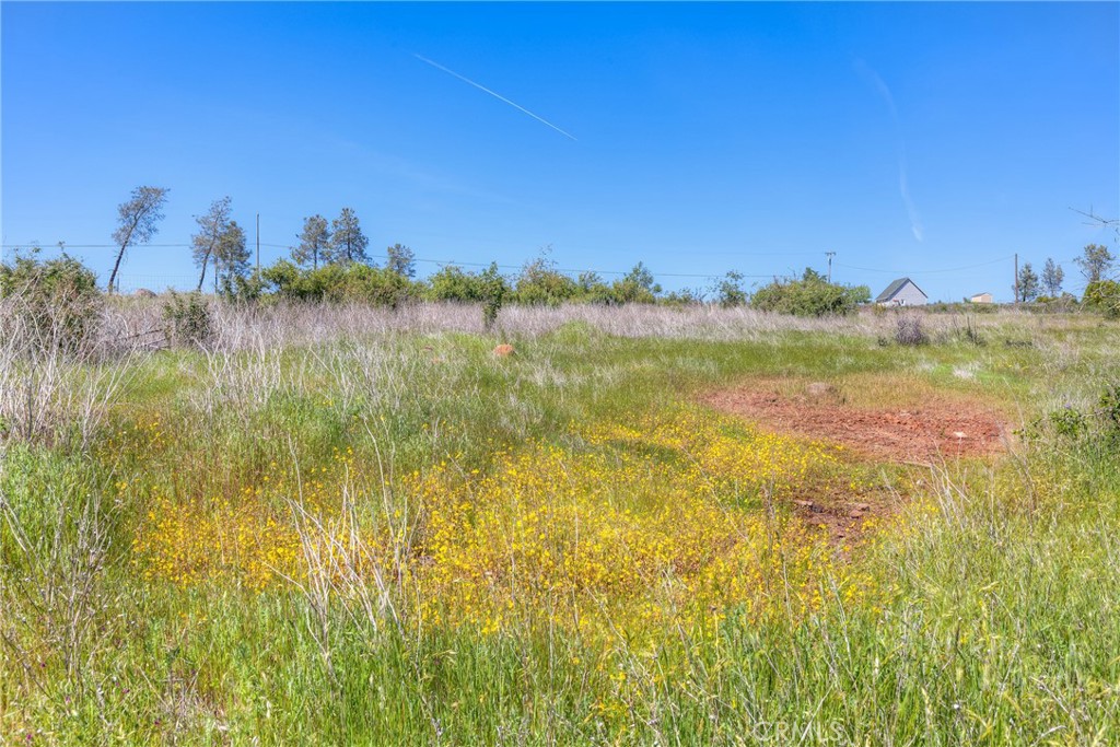 3177 Indian Springs Road