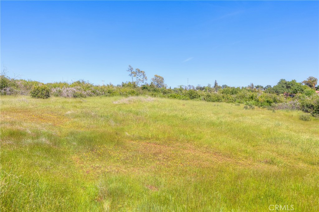 3177 Indian Springs Road