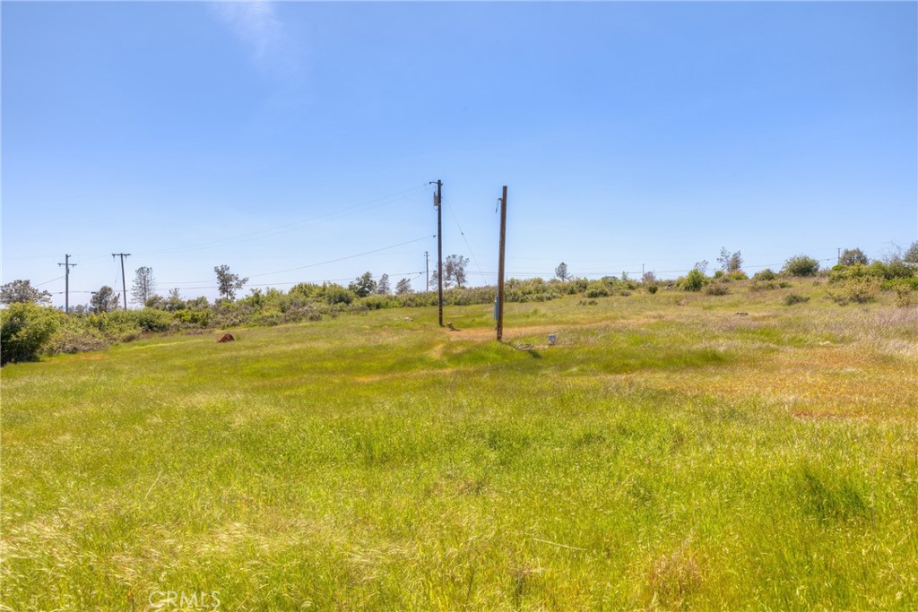 3177 Indian Springs Road