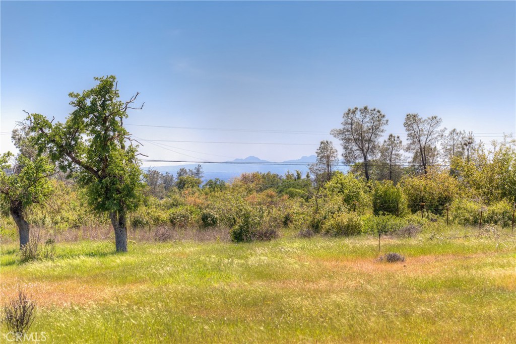 3177 Indian Springs Road