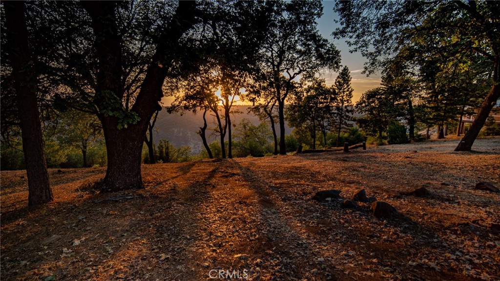 0 Woodland Park Drive