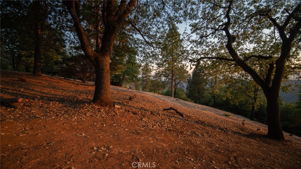 0 Woodland Park Drive