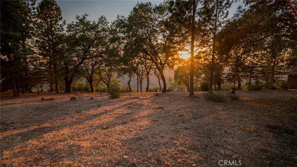 0 Woodland Park Drive