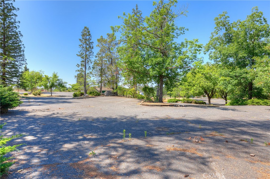 771 Buschmann Road