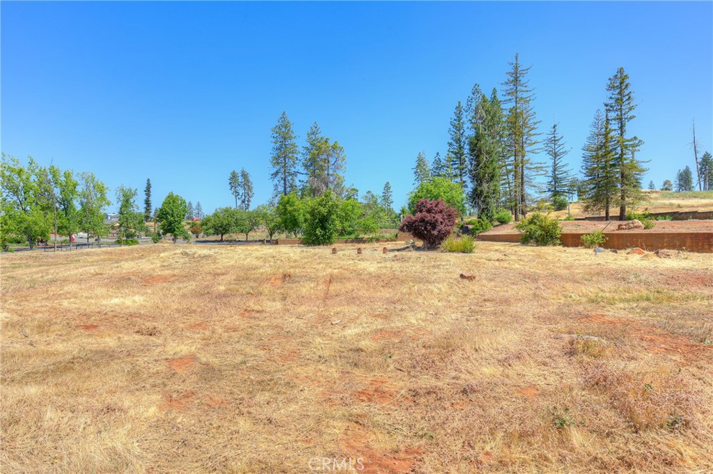 771 Buschmann Road