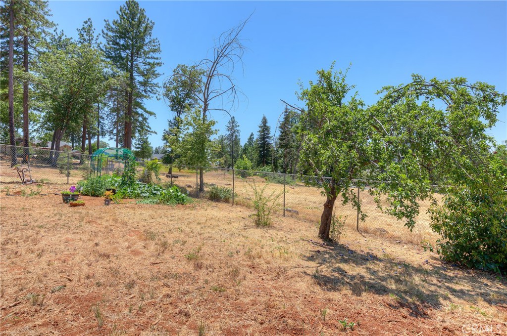 361 Pinewood Drive