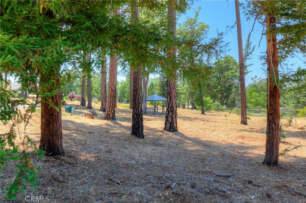 361 Pinewood Drive