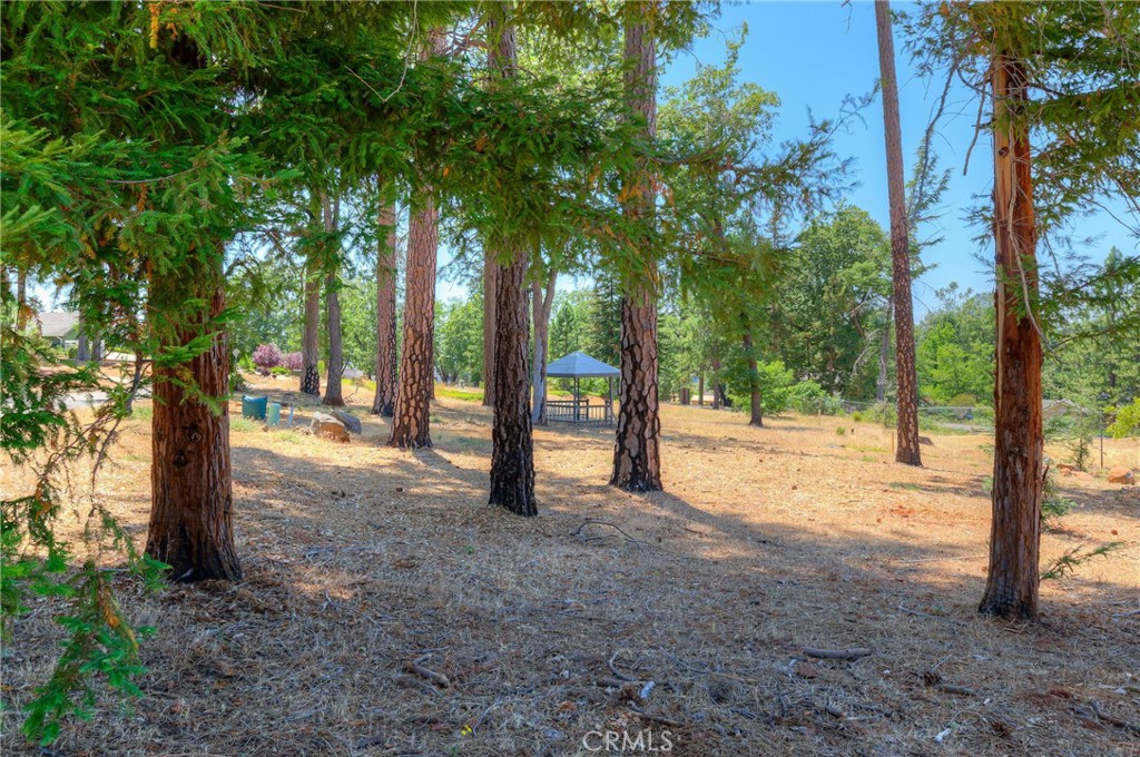 361 Pinewood Drive