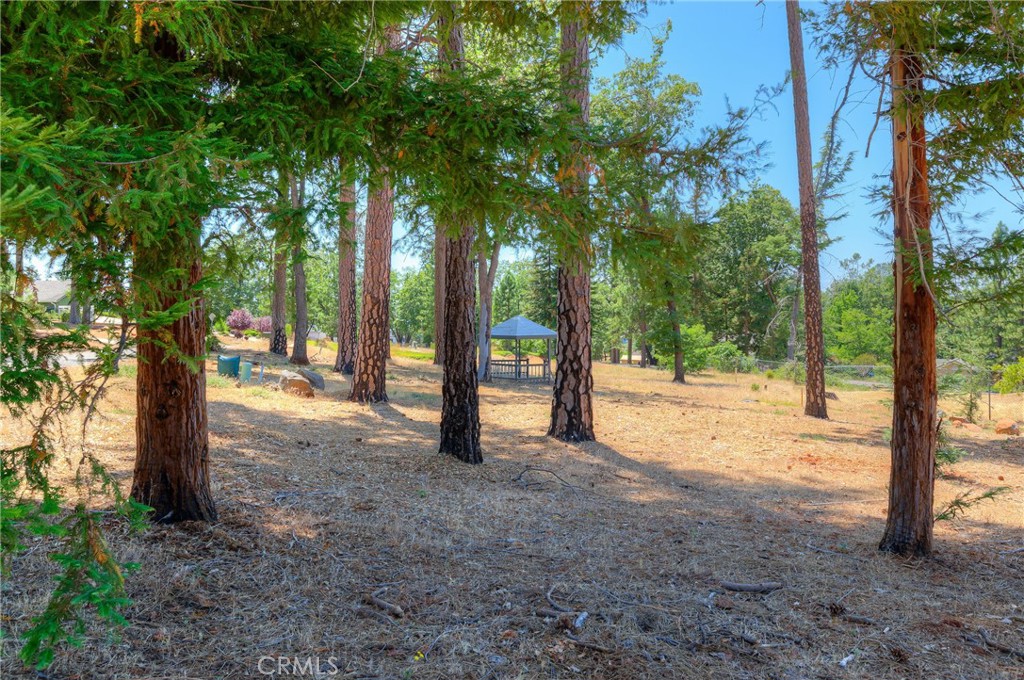 361 Pinewood Drive