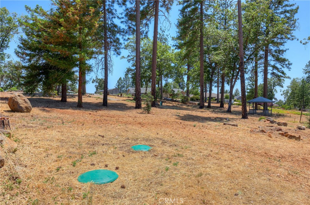 361 Pinewood Drive