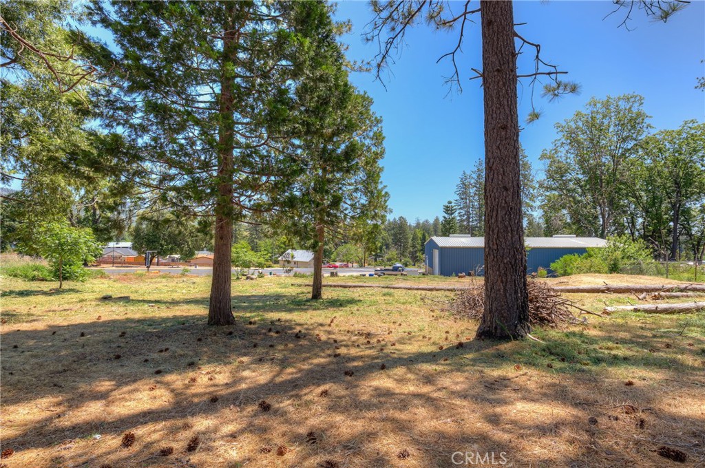 9156 Skyway