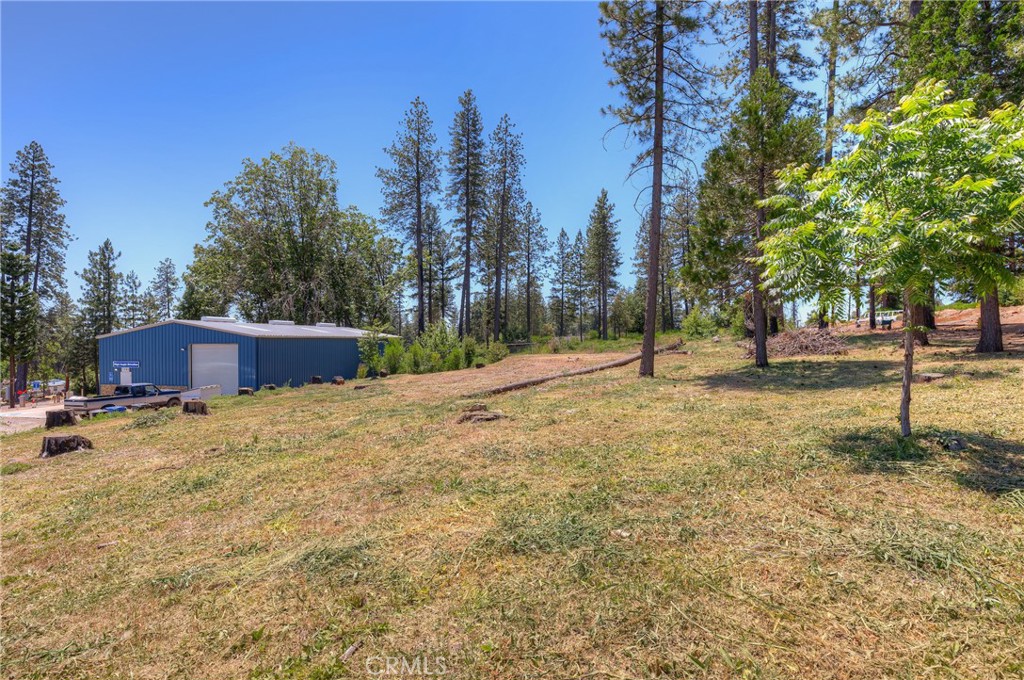 9156 Skyway