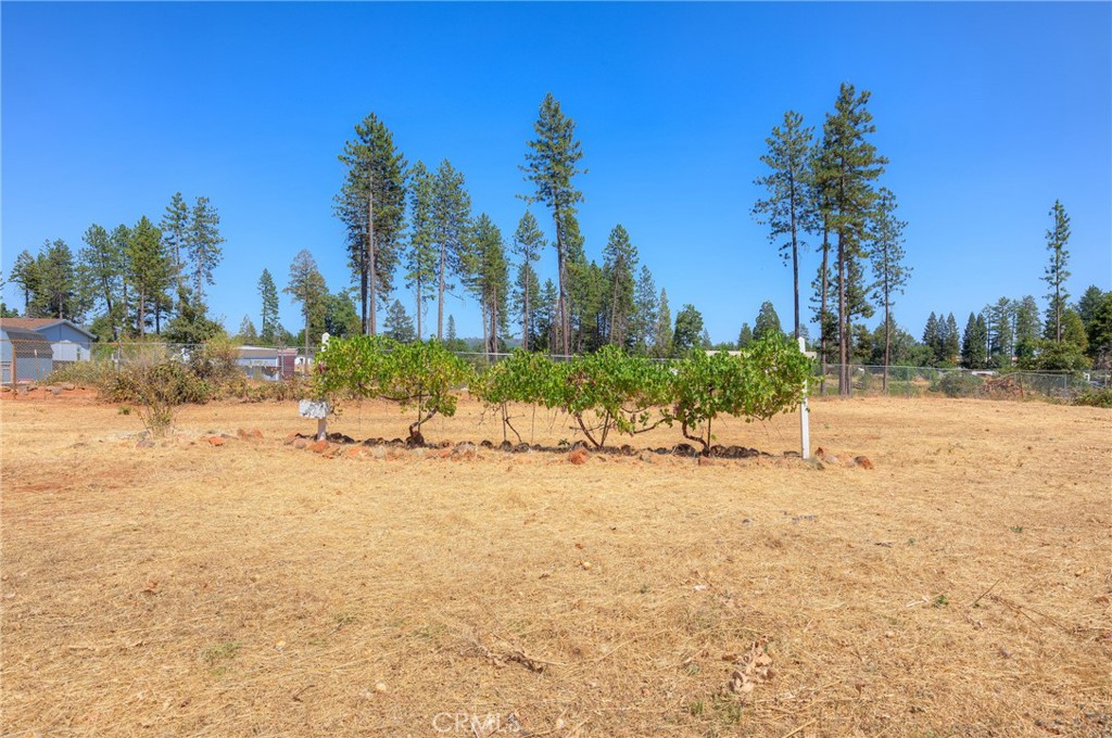 6478 Lone Cedar Lane