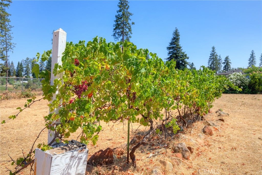 6478 Lone Cedar Lane