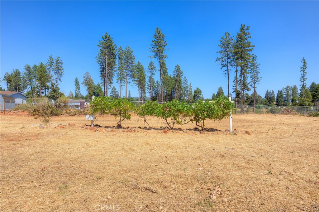 6478 Lone Cedar Lane