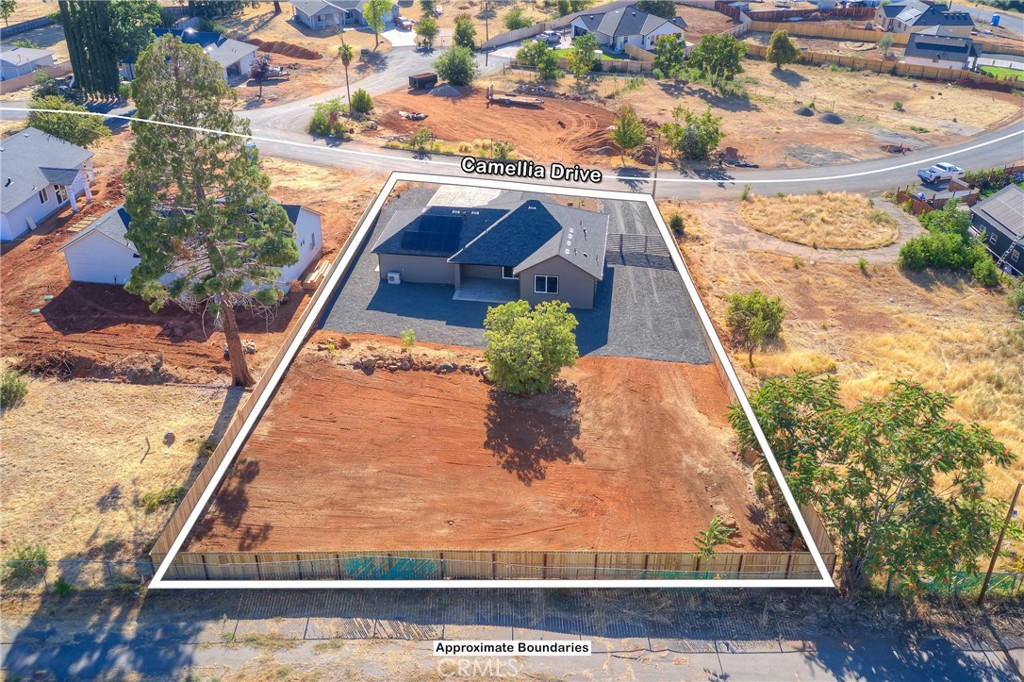 807 Camellia Drive