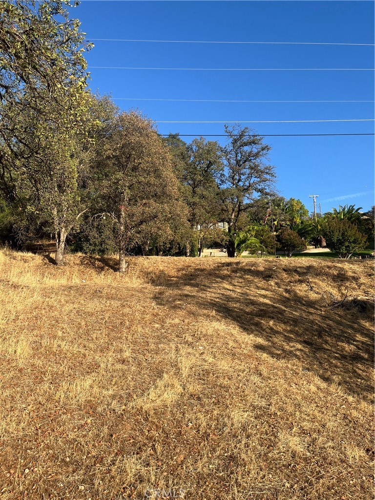 175 Lemon Hill